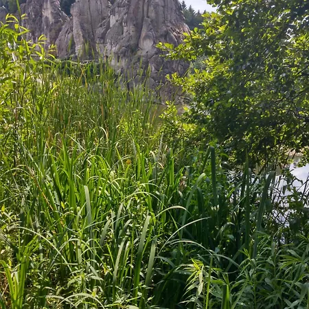 Moderne In - Zentrale Lage & Wohlfuehlkomfort Bad Salzuflen