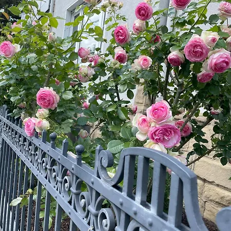 Moderne In - Zentrale Lage & Wohlfuehlkomfort Apartament