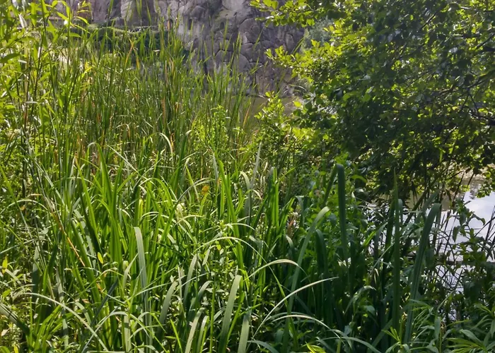 Moderne In - Zentrale Lage & Wohlfuehlkomfort Bad Salzuflen