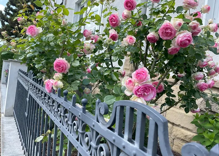 Moderne In - Zentrale Lage & Wohlfuehlkomfort Apartmán